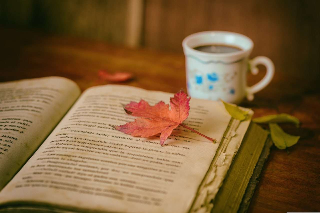 Book section 